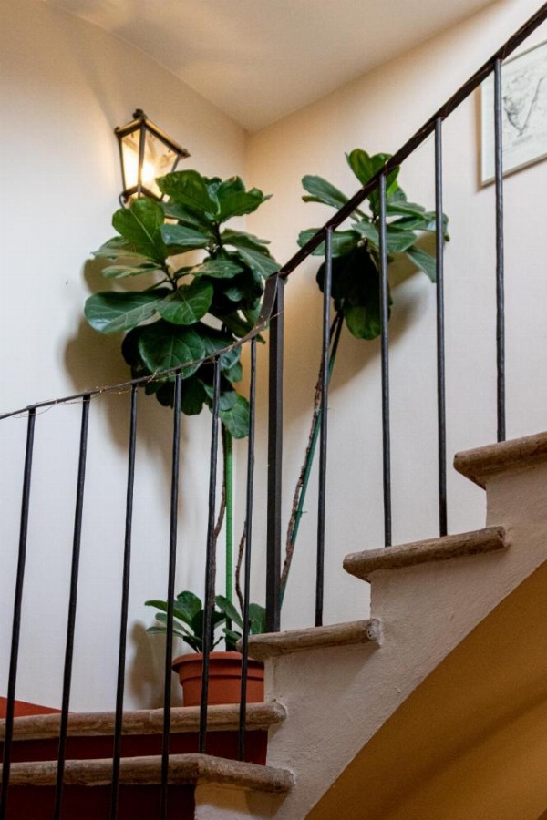 Casa Isolani - Santo Stefano image 21